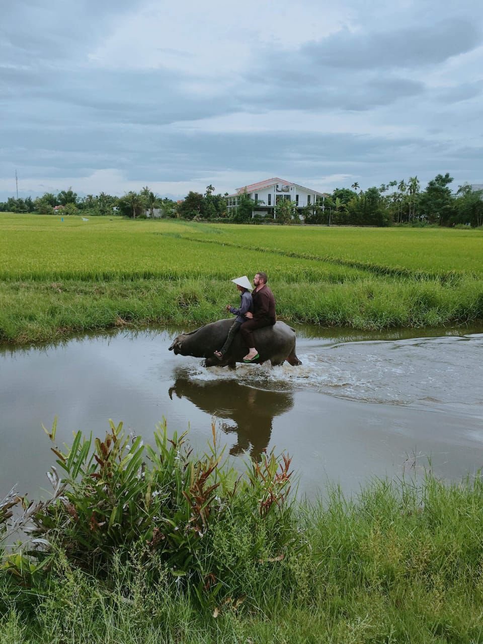 Hoi An Buffalo Riding
