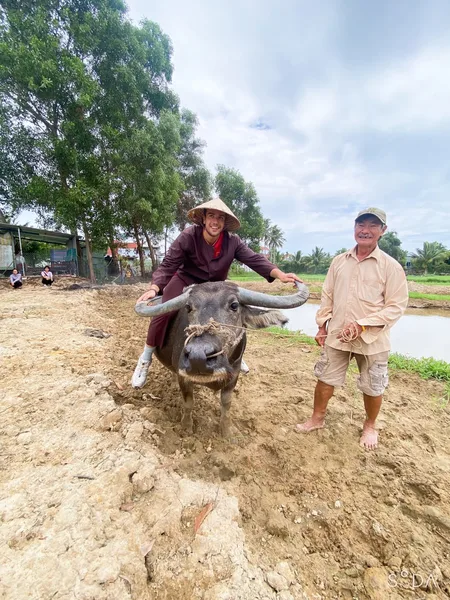 Hand-feeding a water buffalo on a family farm